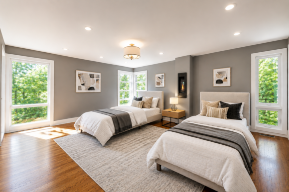 Forest Suite